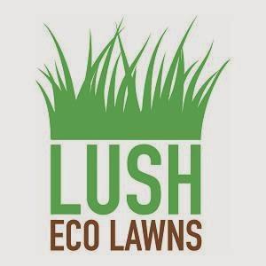 Lush Eco Lawns and Gardens