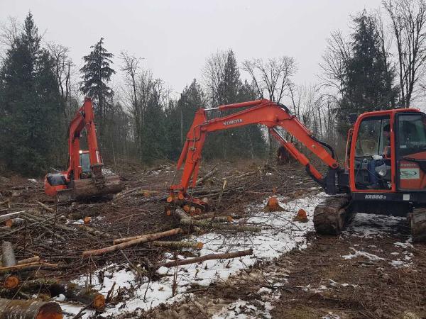 The Golden Shovel Landscape Ltd.