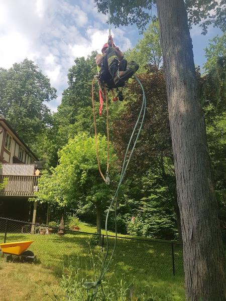 Wright's Tree Care Inc