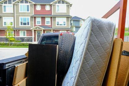 Cleanup Crew Junk Solutions