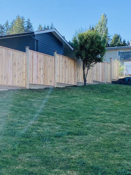 Canada Cedar Fencing