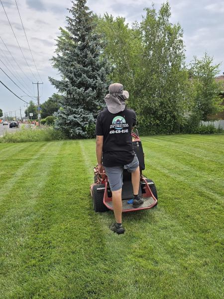 Entretien Gazon AVA Lawn Care