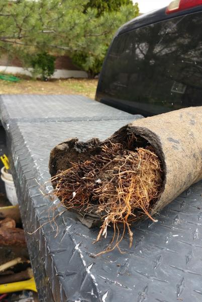 Laxton Plumbing and Heating