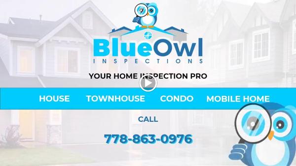 Blue Owl Inspections