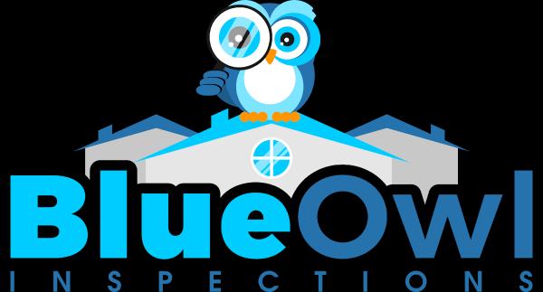 Blue Owl Inspections