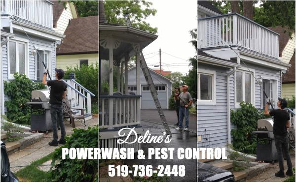 Deline's Mobile Power Wash & Pest Control