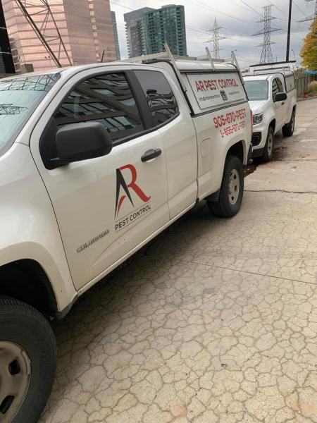 AR Pest Control Mississauga