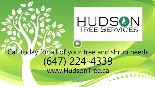 Hudson Tree Services Inc.
