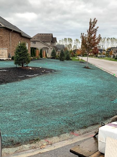 Willseed Hydroseeding