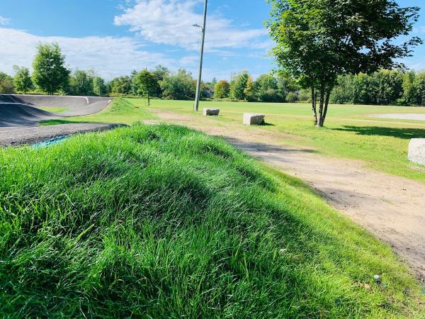 Willseed Hydroseeding