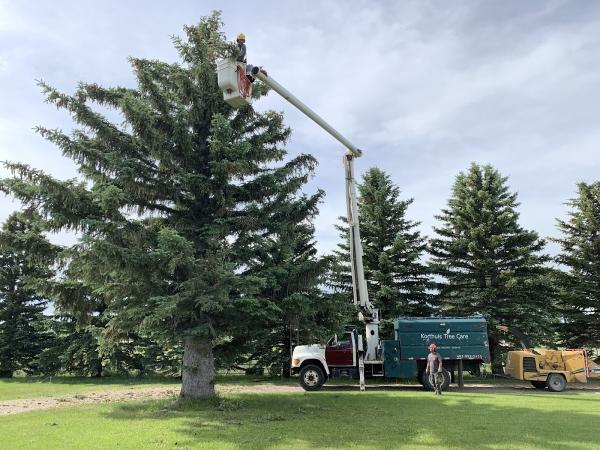 Korthuis Tree Care