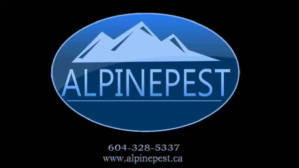 Alpine Pest Control LTD