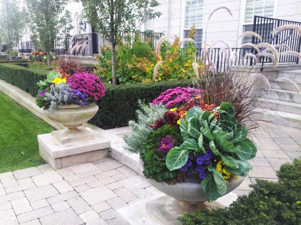 Lawrence Park Complete Garden Care