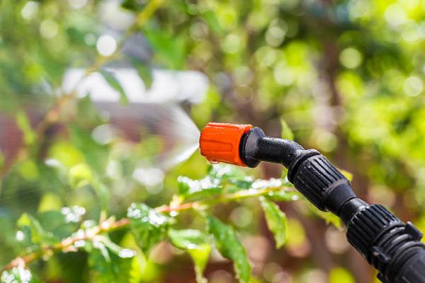 Pest Control Rockwood Village