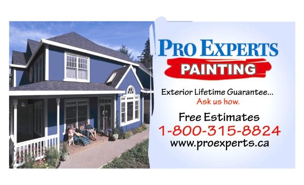 Pro Experts Painting