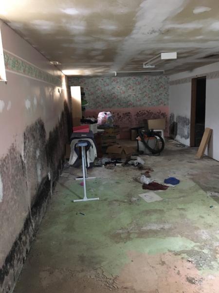 Canada Mold and Asbestos Solutions Inc.