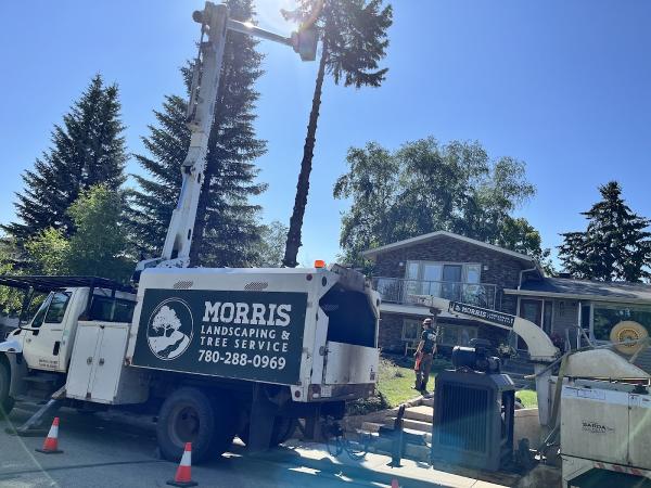 Morris Landscaping & Tree Service