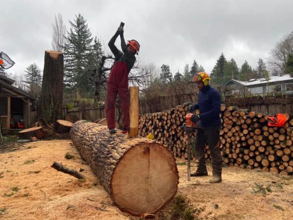 McLean's Tree Service