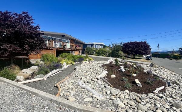 Vision Arboriculture Ltd.