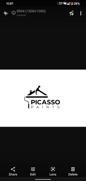 Picasso Paints Ottawa