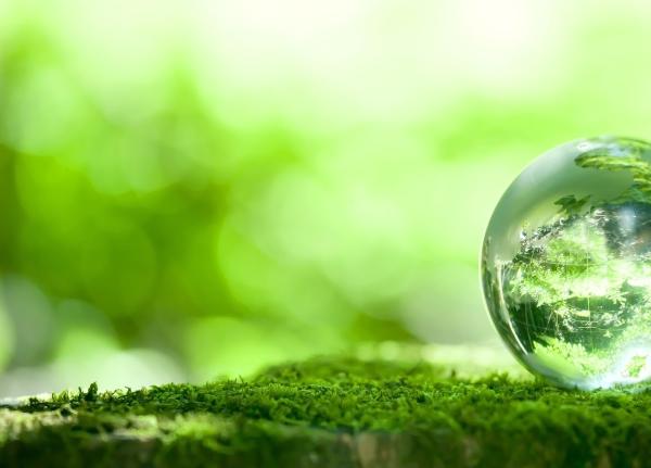 Servegreen Cleaning Services Ltd.