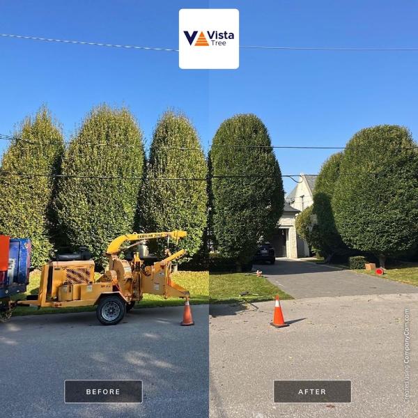 Vista Tree Management