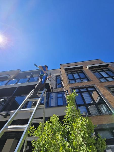 Mehta Brothers Window & Eaves Cleaning