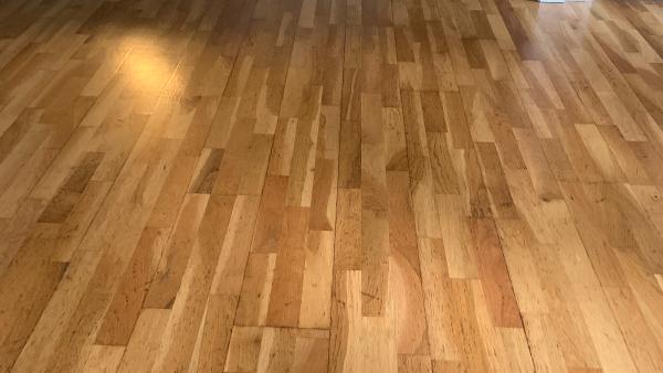 Williams Carpet Cleaning Coquitlam