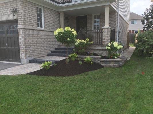 Wynn's Property Maintenance