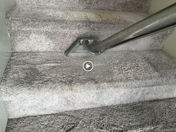 Quality Carpet and Tile Cleaning