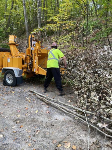 Macaulay Tree Services