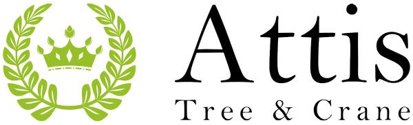 Attis Tree & Crane
