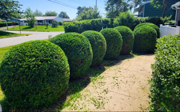 Crews Control Property Maintenance