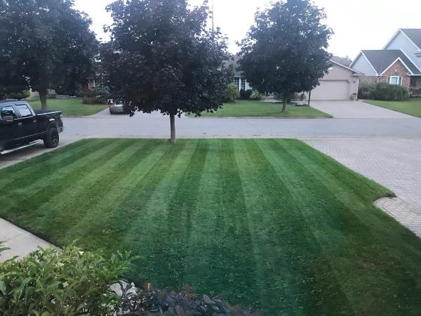Greenwood Lawn Care