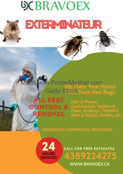 Bravoex Pest Control
