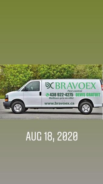 Bravoex Pest Control