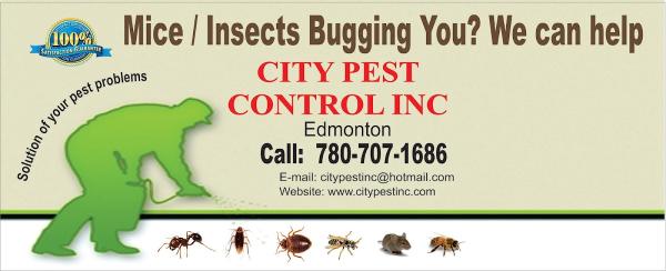 City Pest Control & Bugs Extermination