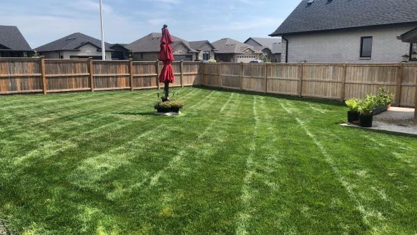 North Sarnia Lawn Care