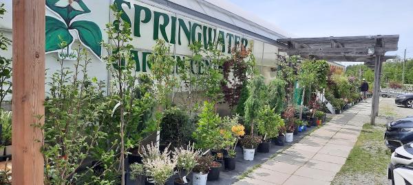 Springwater Garden Center Inc
