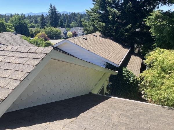 Davidson Roof Cleaning