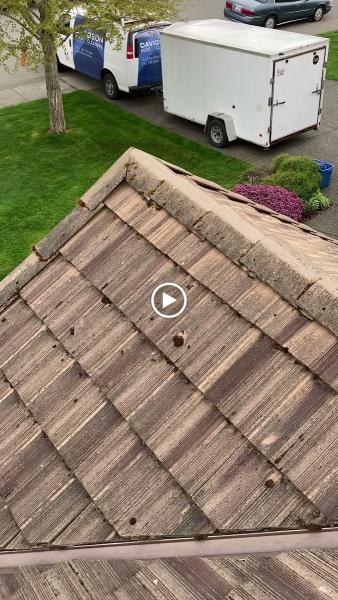 Davidson Roof Cleaning