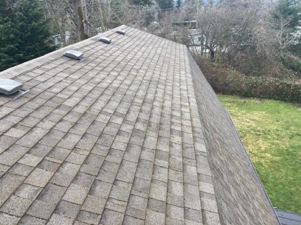 Davidson Roof Cleaning