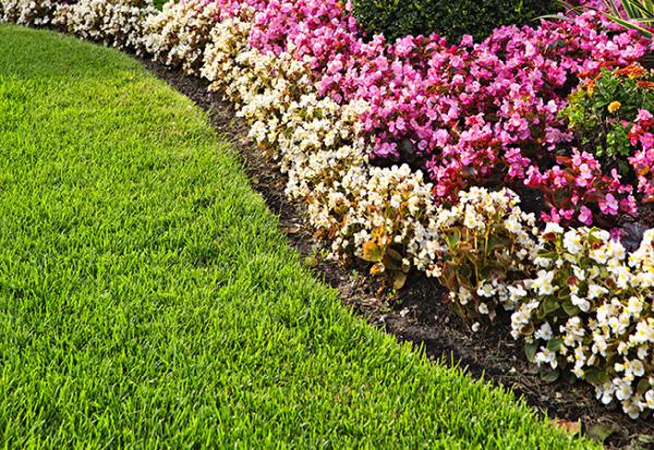 Turf Care Property Maintenance