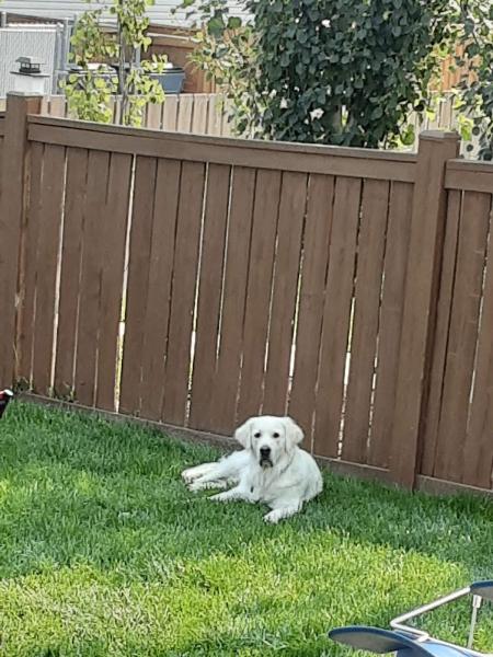 Premium Landscaping & Lawncare