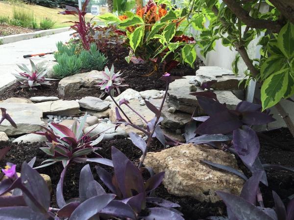 Journey Designs Landscapes