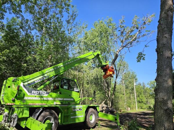 Green Thumb Tree Specialists Inc. & Tree Removal Ottawa