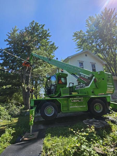 Green Thumb Tree Specialists Inc. & Tree Removal Ottawa