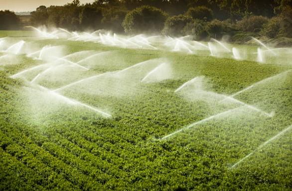 Greenleaf Irrigation