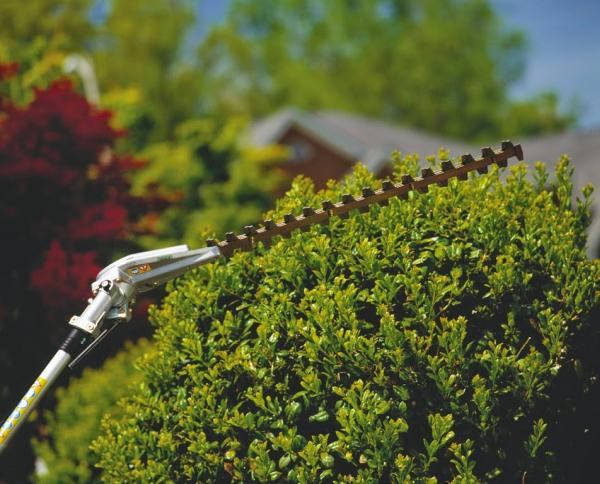 Labelle Property Maintenance Services
