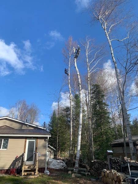 Remers Tree Service